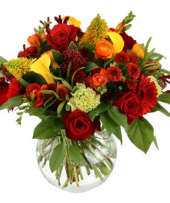 Med en varm hilsen, farver blomster livets scene.