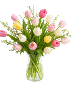 Allergivenlig tulipanbuket Original med friske farverige tulipaner